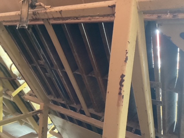 Picture #5