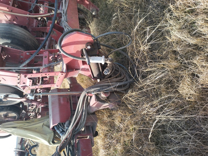 Picture #3