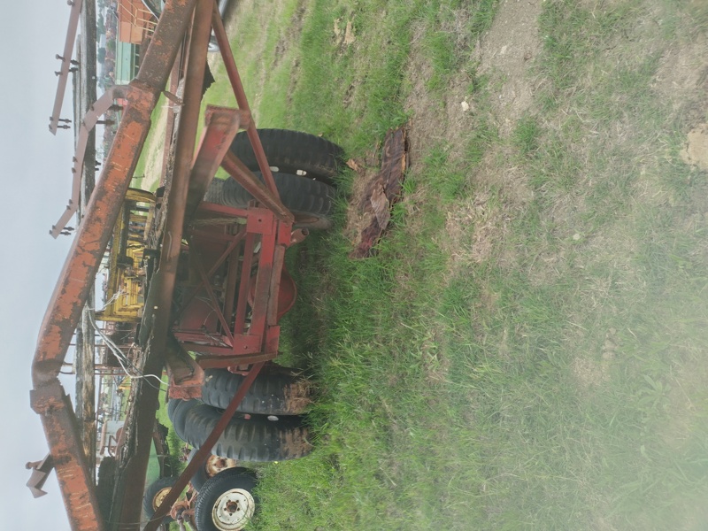 Picture #5