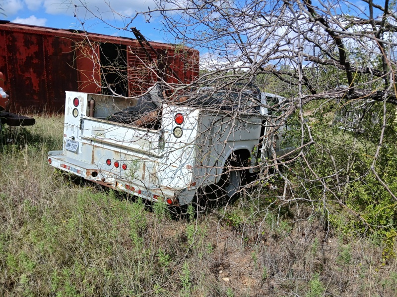 Picture #4