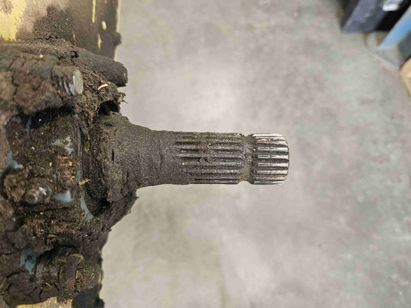 Picture #2