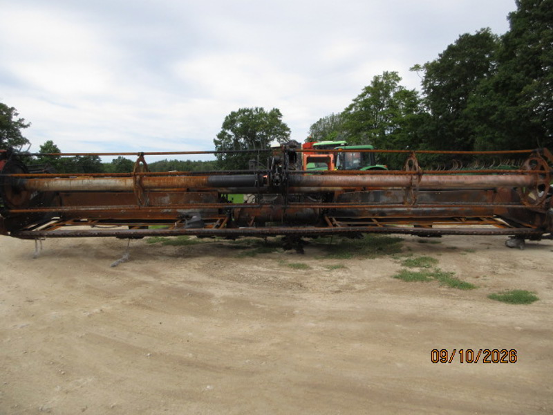 Picture #4