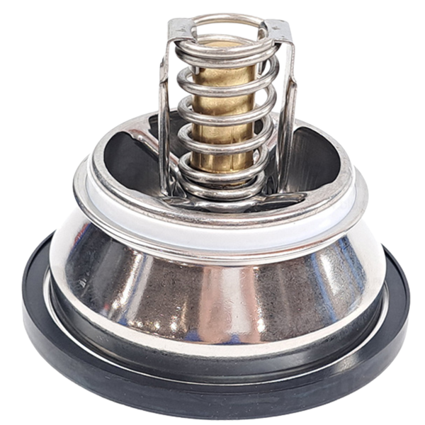 Renault  Thermostat