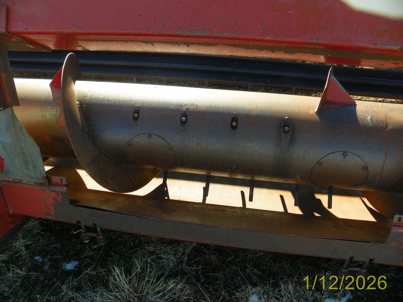 Picture #5