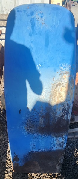 Ford/Nholland TD95D Hood