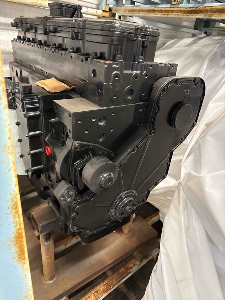 Case/case I.H. Magnum 305 Long Block